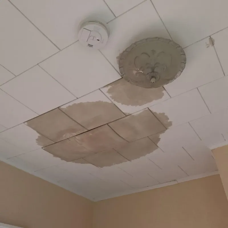 Ceiling Water Damage Repair in Lamar County, AL
