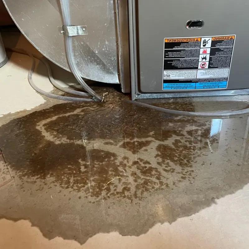 Pipe Burst and Leak Restoration in Lamar County, AL