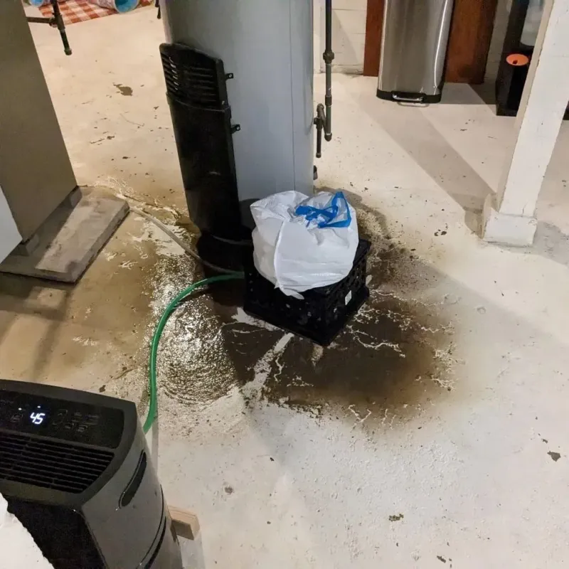 Sewage Backup Cleanup Service in Lamar County, AL